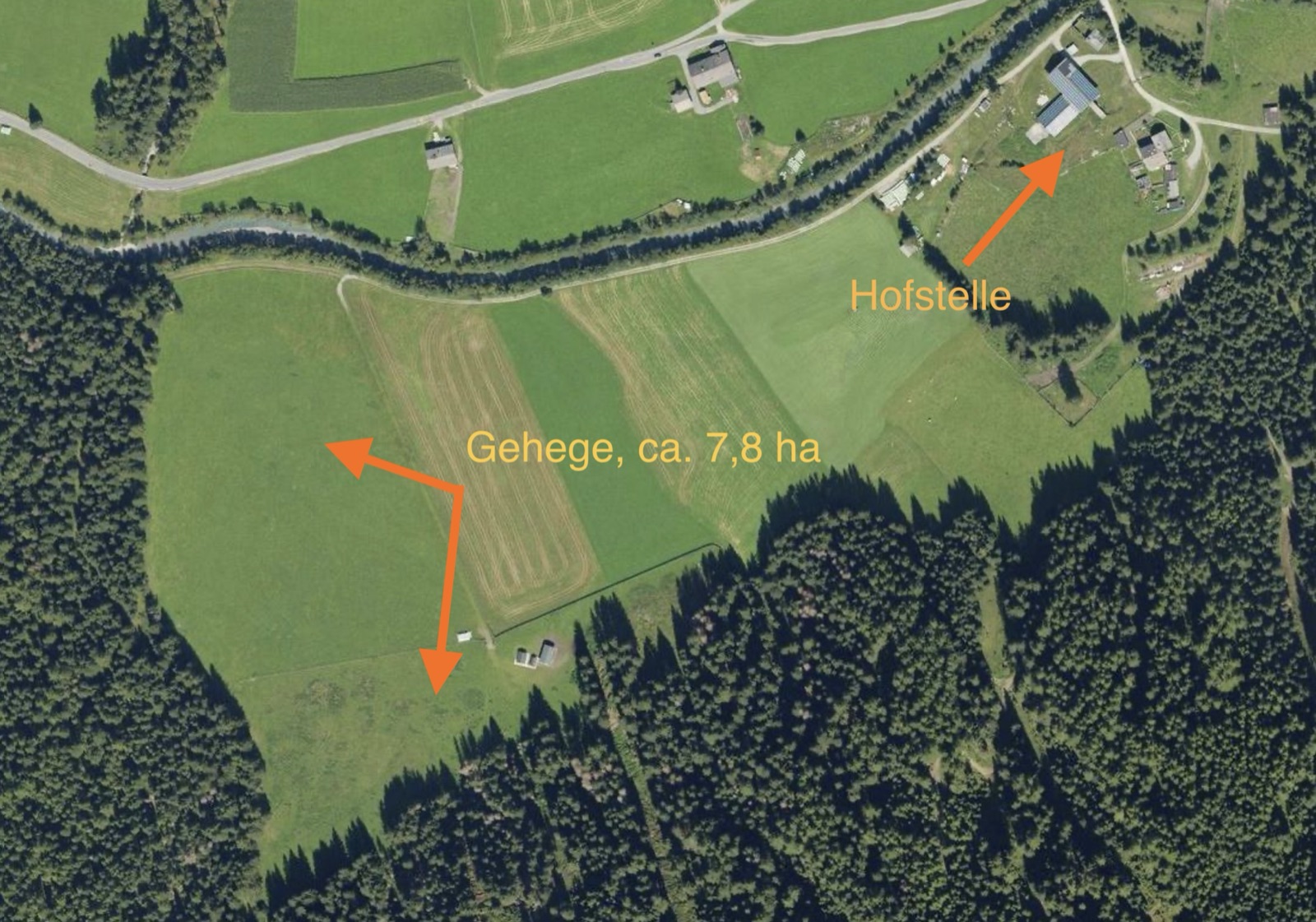 Satellitenbild: Hofstelle und Gehege des Knappenhofs, ca. 7,8 ha zusammenhängende Fläche
